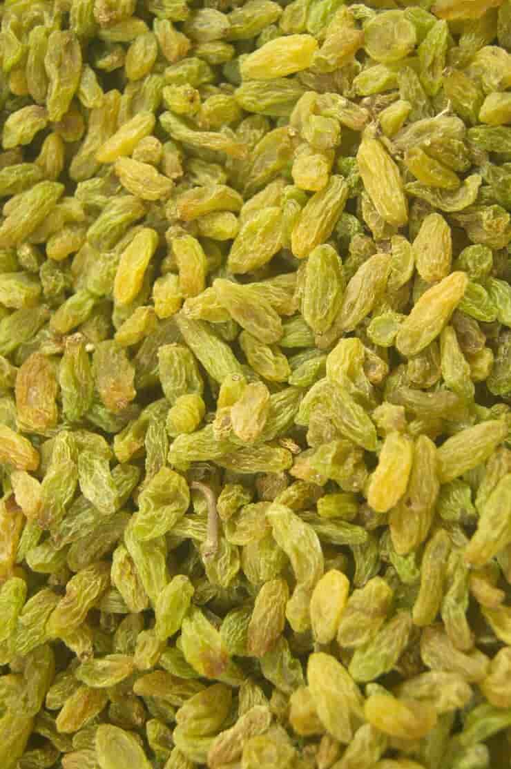 خرید و قیمت کشمش سبز + فروش عمده